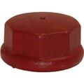 Water Source DC125 1.25 in. Cast Iron Drive Cap 231533